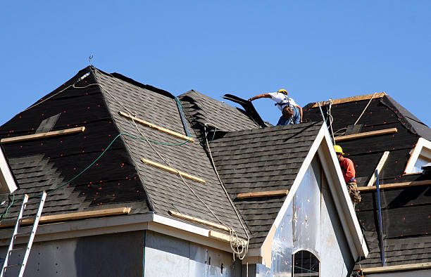 Best Roof Gutter Cleaning  in Grosse Pointe, MI