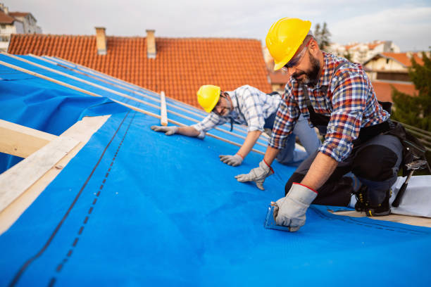 Best Residential Roofing Contractor  in Grosse Pointe, MI