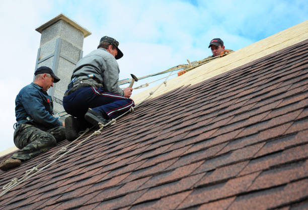 Tile Roofing Contractor in Grosse Pointe, MI