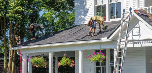 Best Roof Restoration Services  in Grosse Pointe, MI