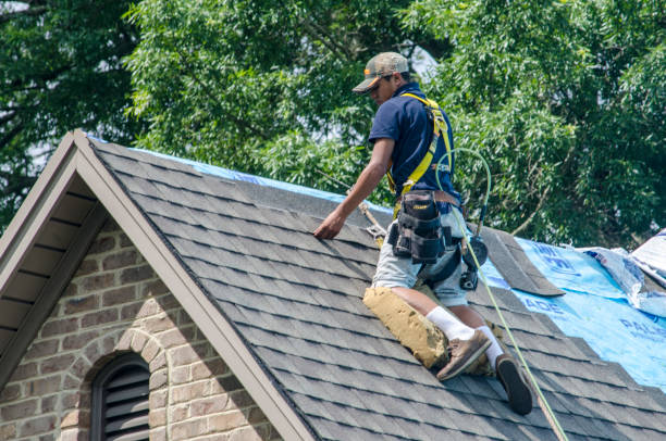 Best Roof Replacement Cost  in Grosse Pointe, MI